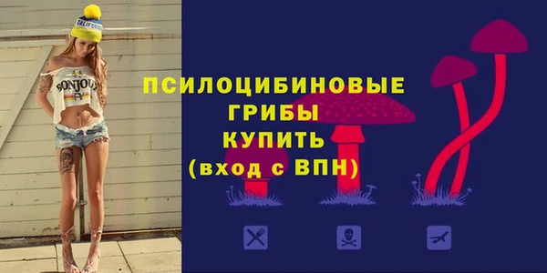 дурь Белоозёрский