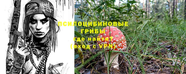 дурь Белоозёрский