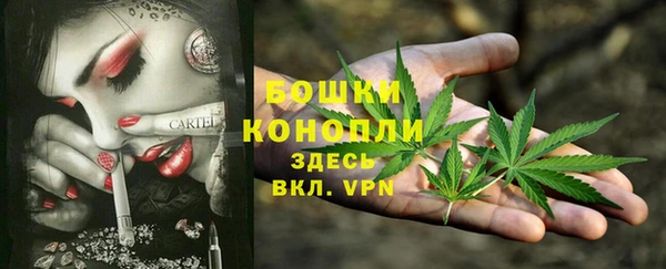дурь Белоозёрский